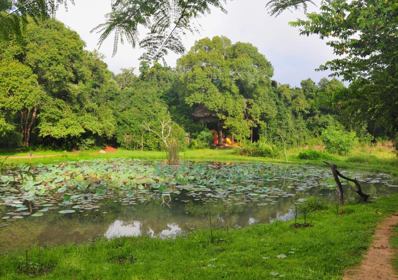Back Of Beyond - Wild Haven Villa Szigirija Kültér fotó
